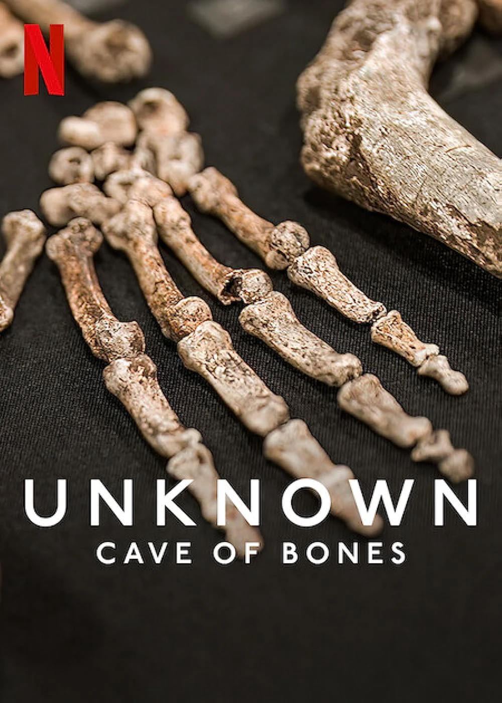 Ẩn số Trái đất: Hang hài cốt | Unknown: Cave of Bones (2023) Ẩn số Trái đất: Hang hài cốt | Unknown: Cave of Bones (2023)