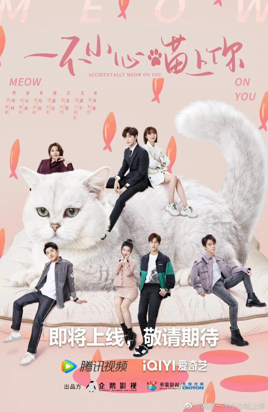 Bất Cẩn Meow Phải Anh | Accidentally Meow On You (2022) Bất Cẩn Meow Phải Anh | Accidentally Meow On You (2022)