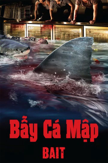 Bẫy Cá Mập | Bait (2013) Bẫy Cá Mập | Bait (2013)