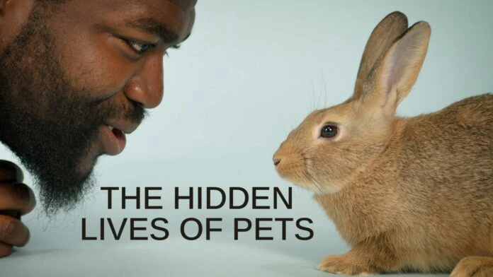 Cuộc sống bí mật của thú cưng | The Hidden Lives of Pets (2022) Cuộc sống bí mật của thú cưng | The Hidden Lives of Pets (2022)