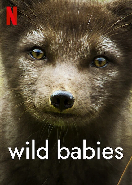Động vật chào đời | Wild Babies (2022) Động vật chào đời | Wild Babies (2022)