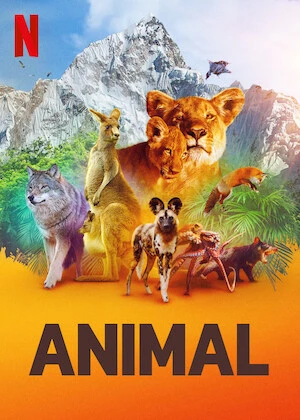 Động vật (Phần 1) | Animal (Season 1) (2021) Động vật (Phần 1) | Animal (Season 1) (2021)