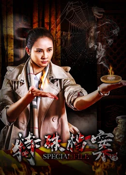 Hồ sơ đặc biệt | Special File (2018) Hồ sơ đặc biệt | Special File (2018)