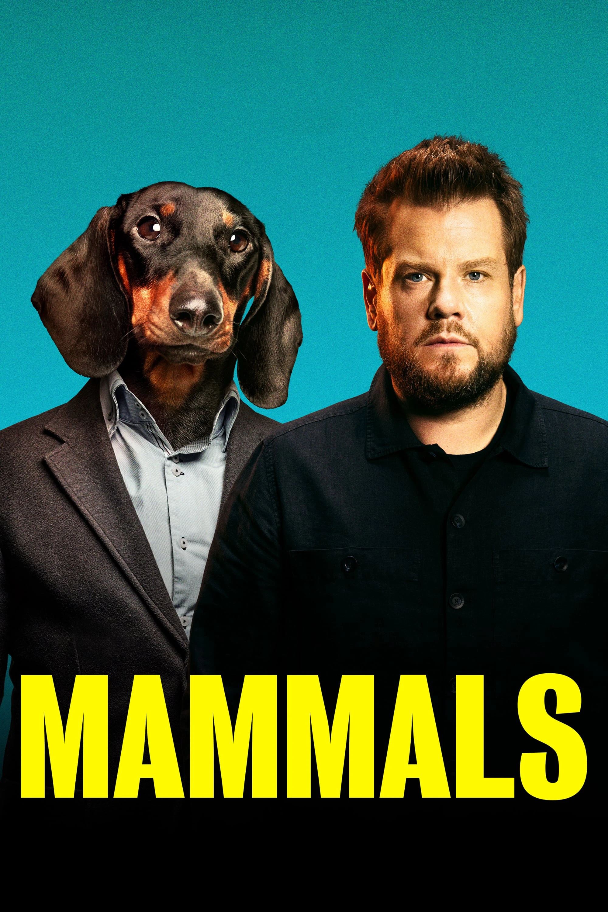 Mammals | Mammals (2022) Mammals | Mammals (2022)