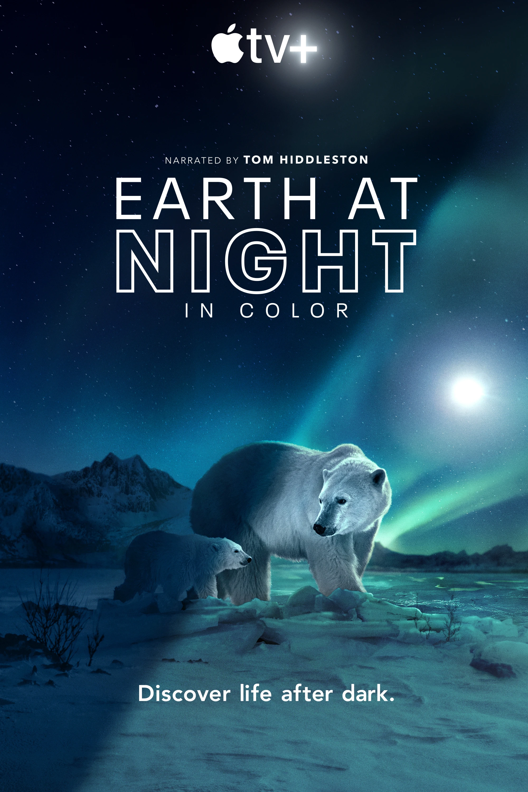 Màn đêm trên Trái Đất: Thước phim trong bóng tối | Night on Earth: Shot in the Dark (2020) Màn đêm trên Trái Đất: Thước phim trong bóng tối | Night on Earth: Shot in the Dark (2020)