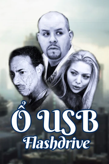 Ổ USB | Flashdrive (2012) Ổ USB | Flashdrive (2012)