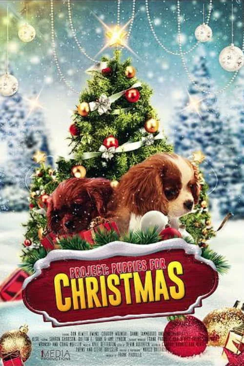Quà Giáng Sinh Bất Ngờ | Project: Puppies for Christmas (2019) Quà Giáng Sinh Bất Ngờ | Project: Puppies for Christmas (2019)