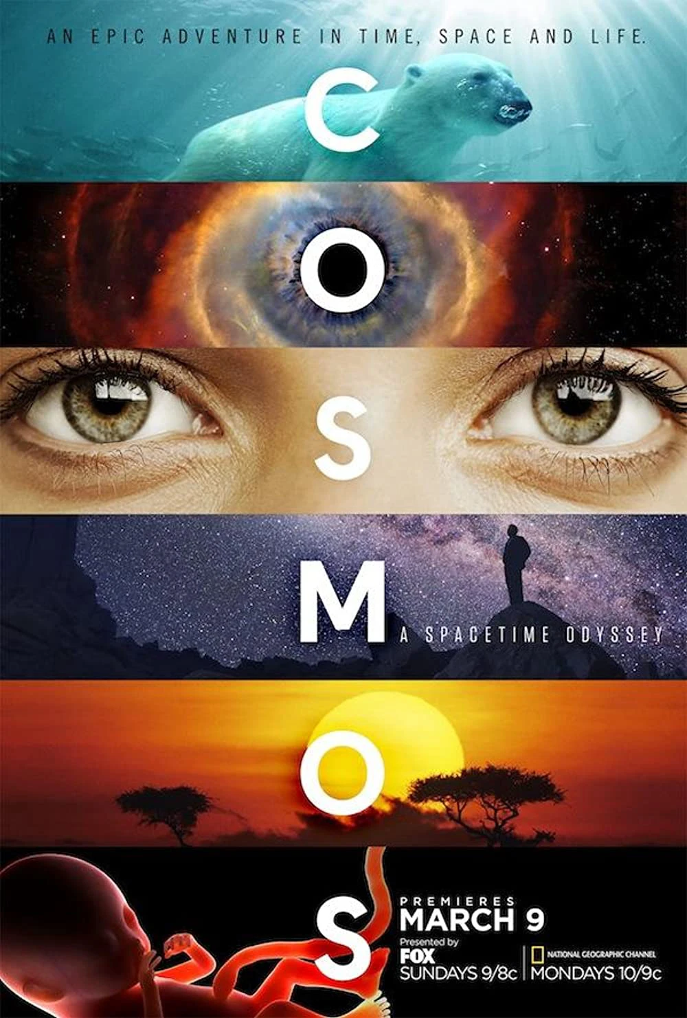 Vũ Trụ Kỳ Diệu Phần 1 | Cosmos: A SpaceTime Odyssey (Season 1) (2014) Vũ Trụ Kỳ Diệu Phần 1 | Cosmos: A SpaceTime Odyssey (Season 1) (2014)