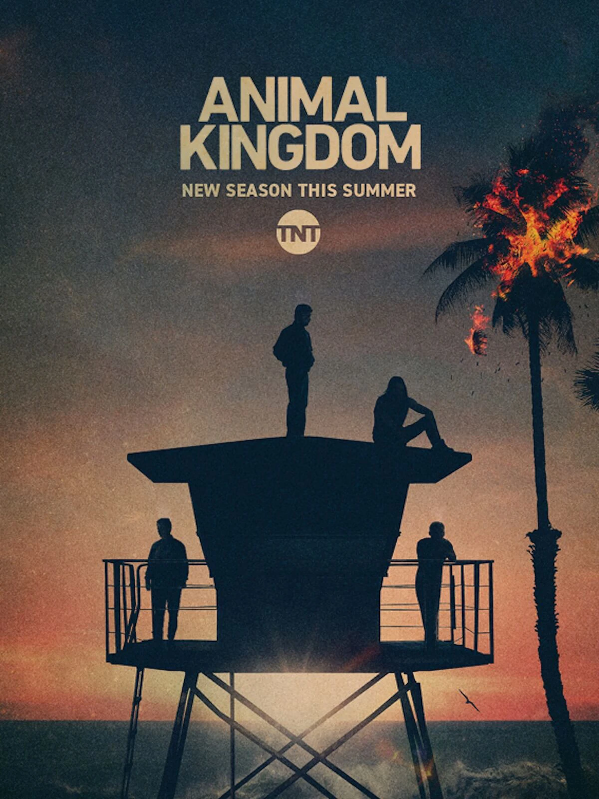 Vương quốc động vật (Phần 5) | Animal Kingdom (Season 5) (2021) Vương quốc động vật (Phần 5) | Animal Kingdom (Season 5) (2021)