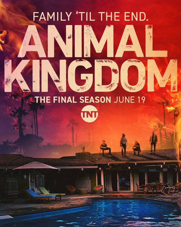 Vương quốc động vật (Phần 6) | Animal Kingdom (Season 6) (2022) Vương quốc động vật (Phần 6) | Animal Kingdom (Season 6) (2022)