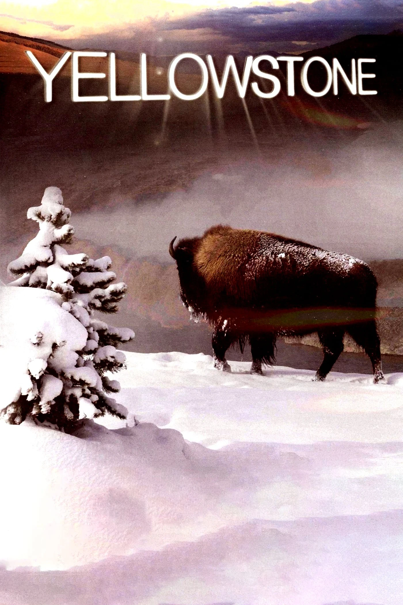 Yellowstone | Yellowstone (2009) Yellowstone | Yellowstone (2009)